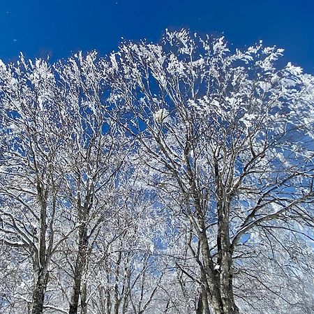 Апартаменты Snow Horizon Хакуба-Мура Экстерьер фото